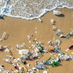 Déchets sauvages et marins